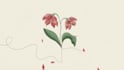 draw minimalist animations with continuous lines