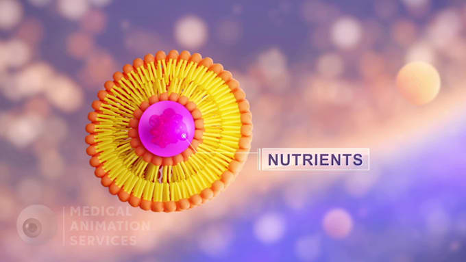 create professional high quality 3d 2d medical animation video