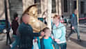 blur, objects, faces, or anything else in your videos