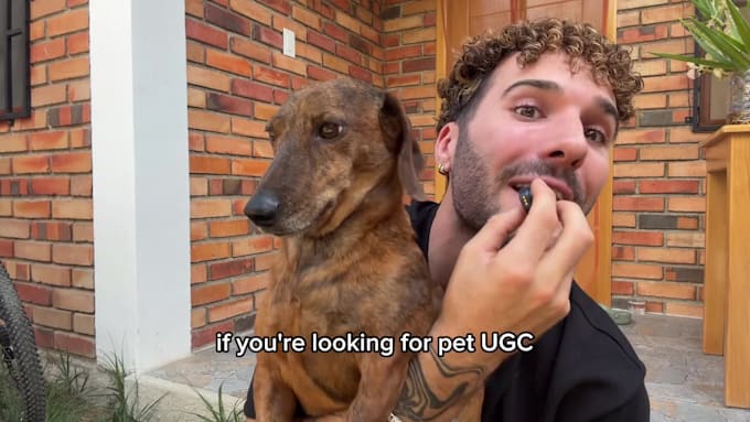 create pet ugc with my small dog