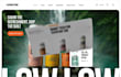 build or rebuild wordpress and custom website