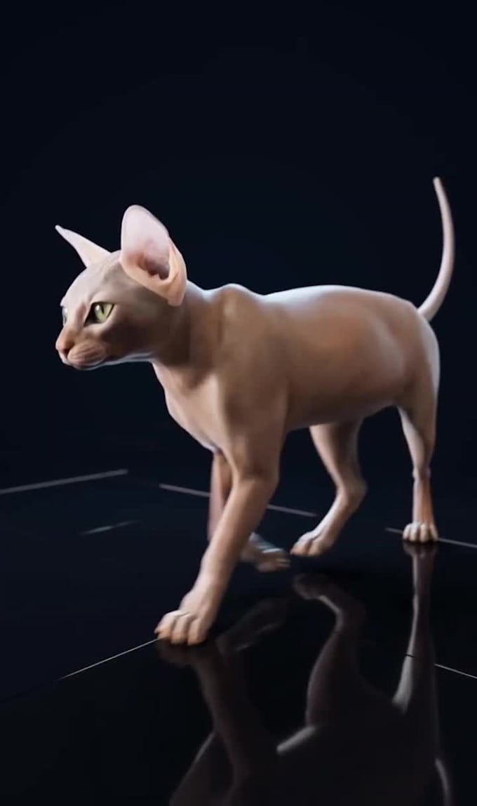 render 3d animal animation, 3d animation, character design, xgen, cgi, vfx