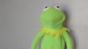 record a video message as kermit the frog