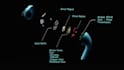 create jaw dropping 3d product animation and visualization
