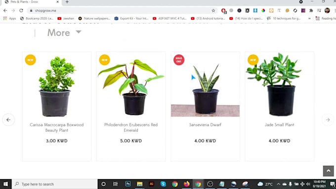 do catchy business wix website,design wix or redesign wix website