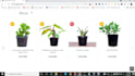 do catchy business wix website,design wix or redesign wix website