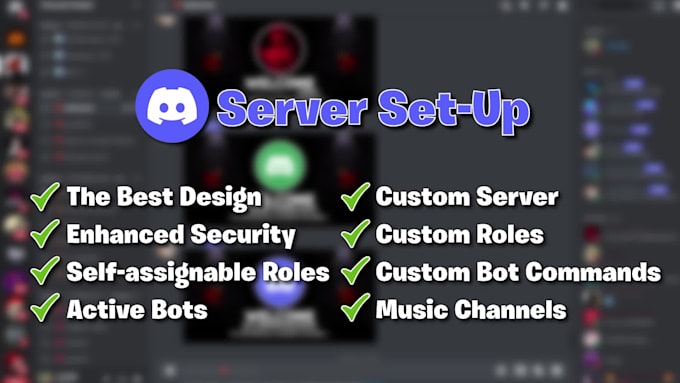 professionally setup discord server with expert optimization