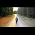 do professional capcut video editing for your reels
