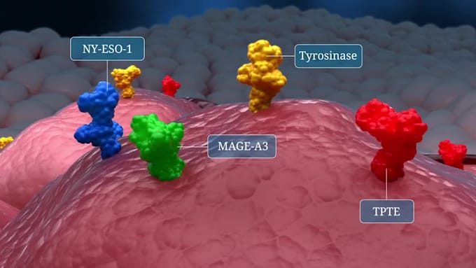 create 3d medical video cancer treatment moa immunotherapy pharma animation