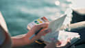do professional video color grading and color correction