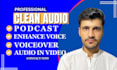 do audio editing, background noise reduction, clean and fix audio of your video
