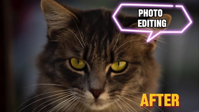 do professional photoshop and lightroom editing