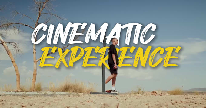 create cinematic video ad or promotional video ads