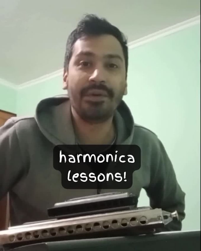 teach you to play the harmonica, personalized lessons
