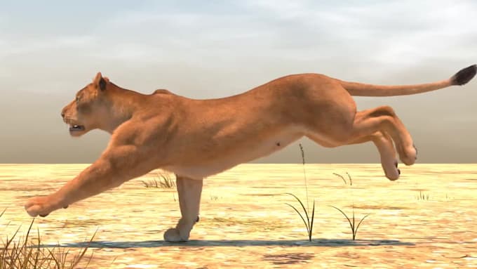do cgi 3d animal modelling, 3d animal creature animation compositing for film