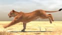 do cgi 3d animal modelling, 3d animal creature animation compositing for film