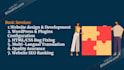 develop custom wordpress websites for you