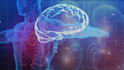 create high quality 3d medical device animation and medical explainer
