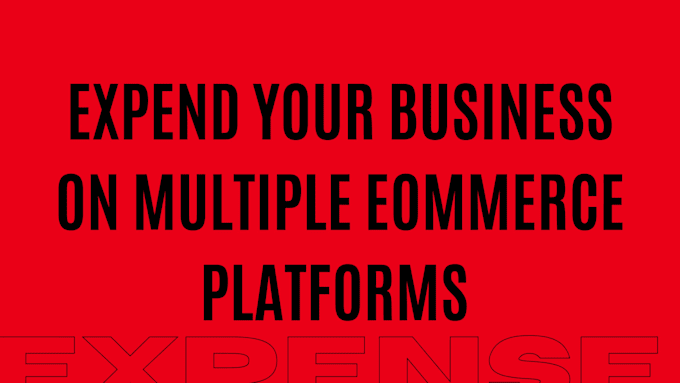 manage your ecommerce business on amazon, walmart, ebay, tiktok shop, shopify