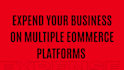 manage your ecommerce business on amazon, walmart, ebay, tiktok shop, shopify