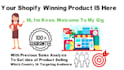 find shopify winning products for dropshipping with analysis