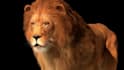 design rig and animate realistic 3d animals for games films and cgi compositing