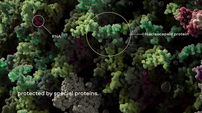 create 3d virus animation, virus structure, and viral infection mechanism video