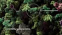 create 3d virus animation, virus structure, and viral infection mechanism video