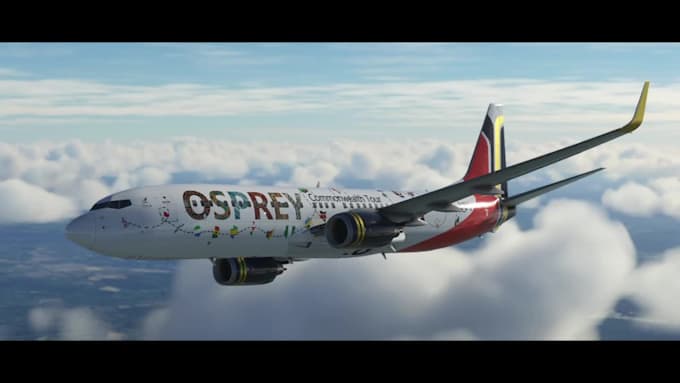 Create your custom virtual airline livery for msfs by Damieng547