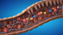 create 3d medical animation, medical explainer video and anatomy animation video