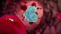 create 3d pharmaceutical mechanism of action moa animation