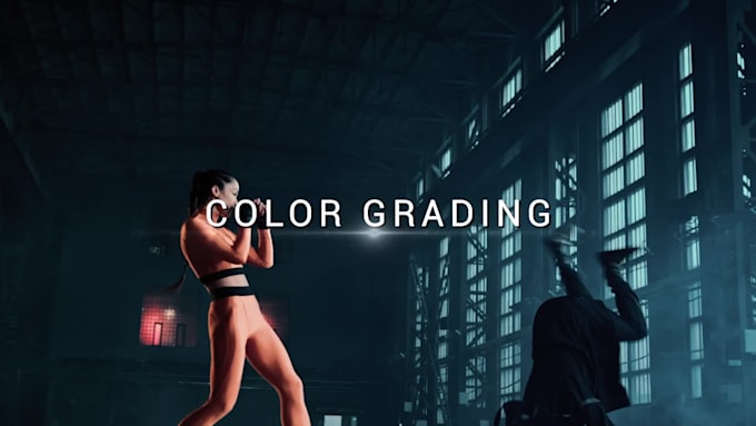 do professional video color correction and color grading