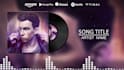 create audio spectrum or music visualizer for your song