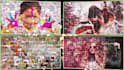 create a beautiful photo mosaic slideshow video, multi photo for any occasion