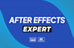 customize any after effetcs template or do a custom animation