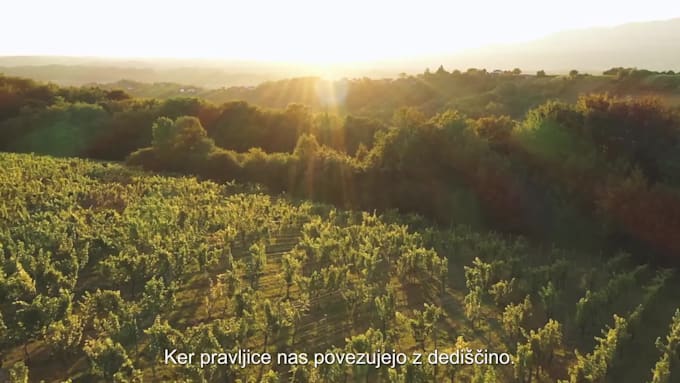 record and edit a clean, slovenian voiceover