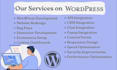 do wordpress website development and custom website for ecommerce busines