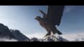 create 3d animal animation rigging model 3d bird and vfx for game and films