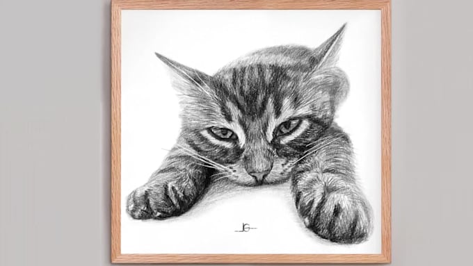 do custom pet portrait, dog portrait, cat portrait drawing