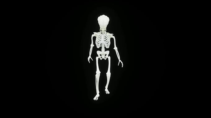 create 3d animated video for hologram fan