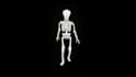 create 3d animated video for hologram fan