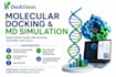 provide docking and md simulation services