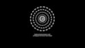 create dankoe style 2d motion graphic reels for instagram