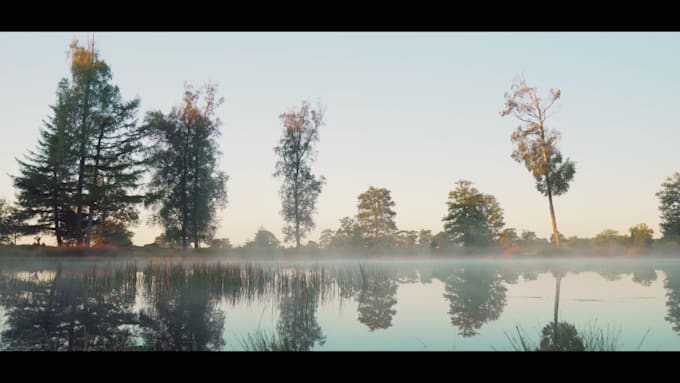 provide professional cinematic video editing