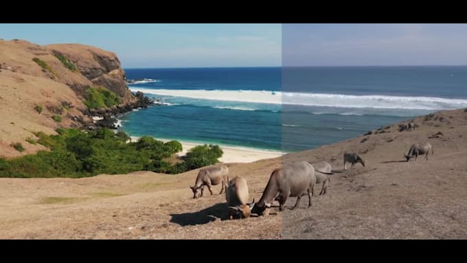 do color correction, color grading of your video