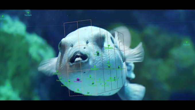 do professional 3d camera tracking and matchmove
