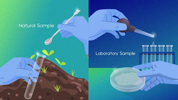 create custom medical and science animation video