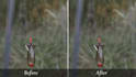 do professional vfx cleanup, remove object from video