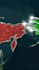 create professional map animation and map tracking videos