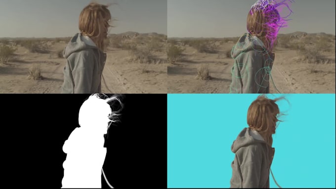 do details hair rotoscoping